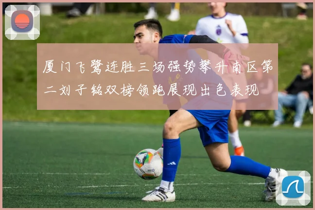 厦门飞鹭连胜三场强势攀升南区第二刘子铭双榜领跑展现出色表现